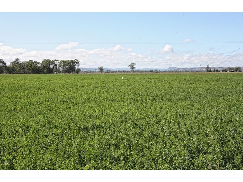 40345 Burnett Highway, Biloela QLD 4715