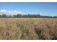 40345 Burnett Highway, Biloela QLD 4715
