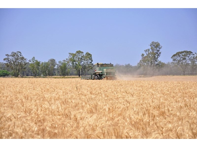 Theodore QLD 4719