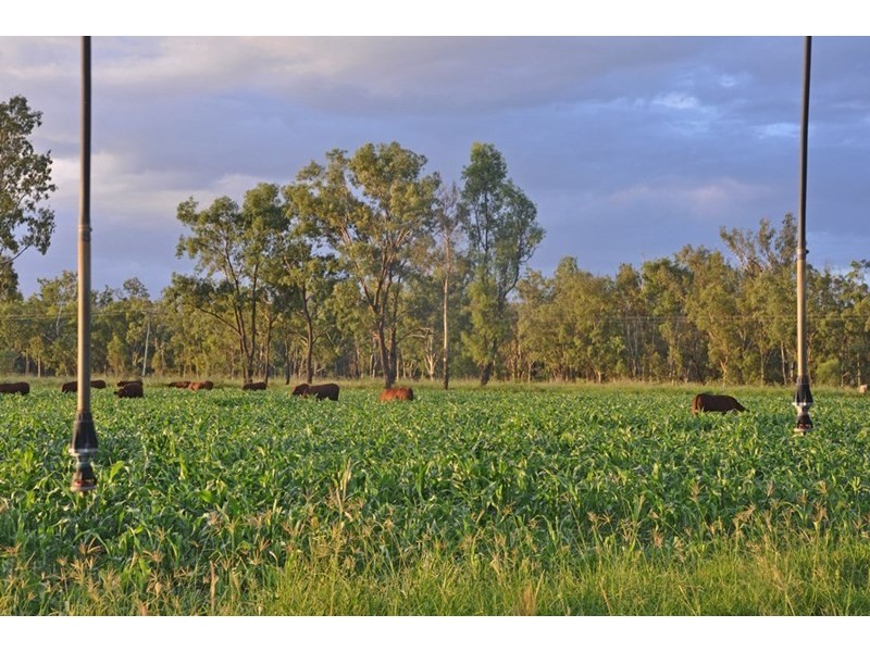 Theodore QLD 4719