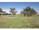 1172 Clonmel Road, Moonford QLD 4630
