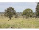1172 Clonmel Road, Moonford QLD 4630