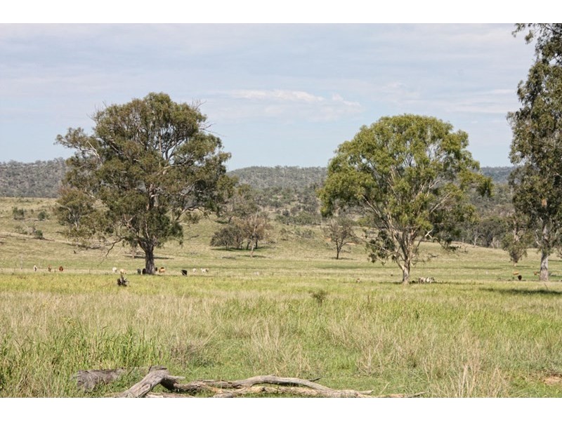 1172 Clonmel Road, Moonford QLD 4630