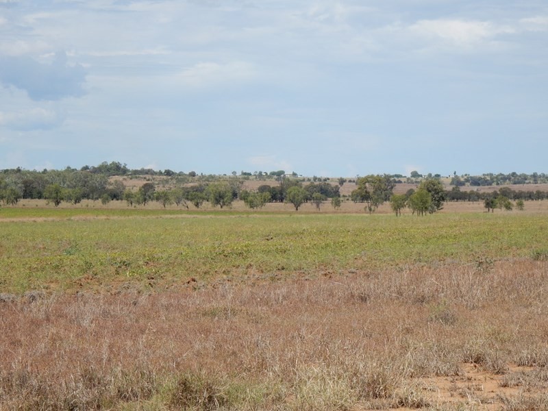 134 Austins Road, Theodore QLD 4719