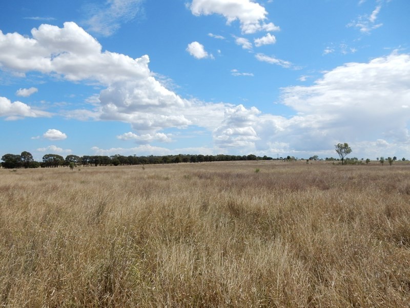 134 Austins Road, Theodore QLD 4719