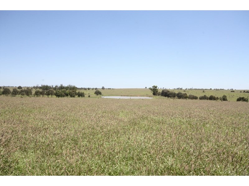 11657 Fitzroy Development Road, Bauhinia QLD 4718