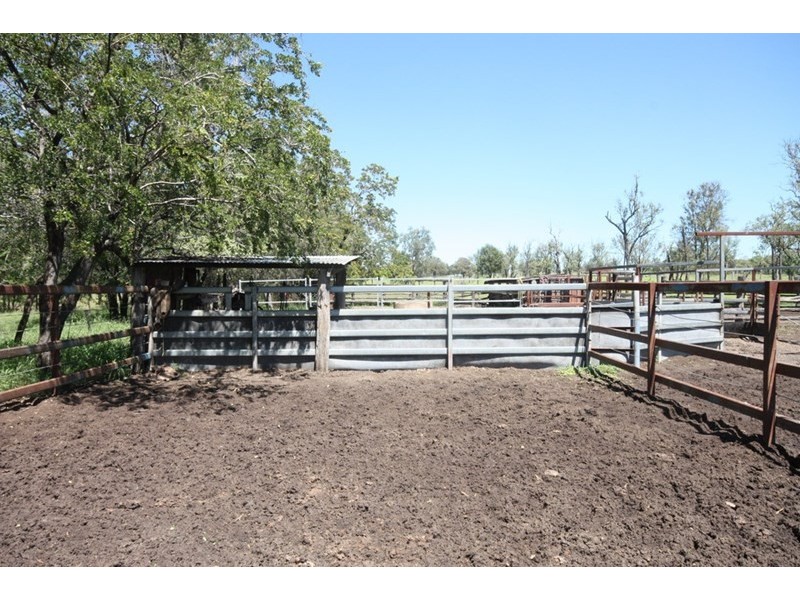 11657 Fitzroy Development Road, Bauhinia QLD 4718