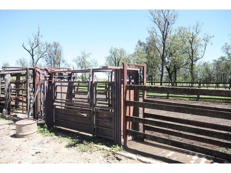 11657 Fitzroy Development Road, Bauhinia QLD 4718