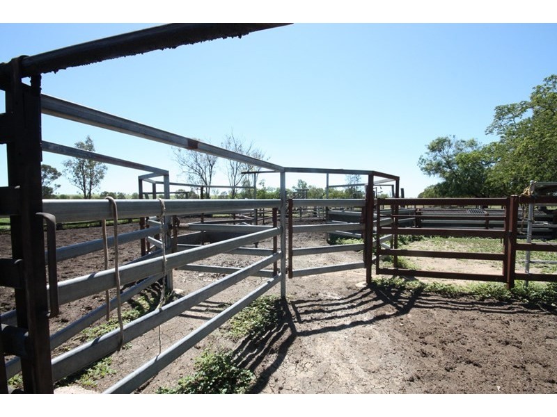 11657 Fitzroy Development Road, Bauhinia QLD 4718