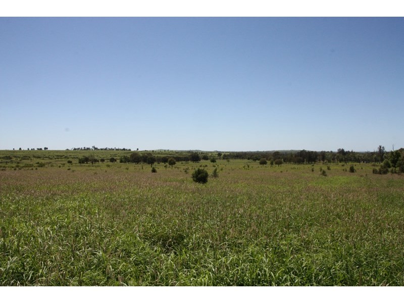 11657 Fitzroy Development Road, Bauhinia QLD 4718