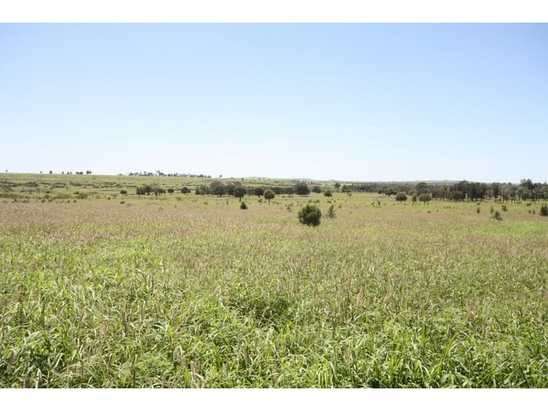 11657 Fitzroy Development Road, Bauhinia QLD 4718