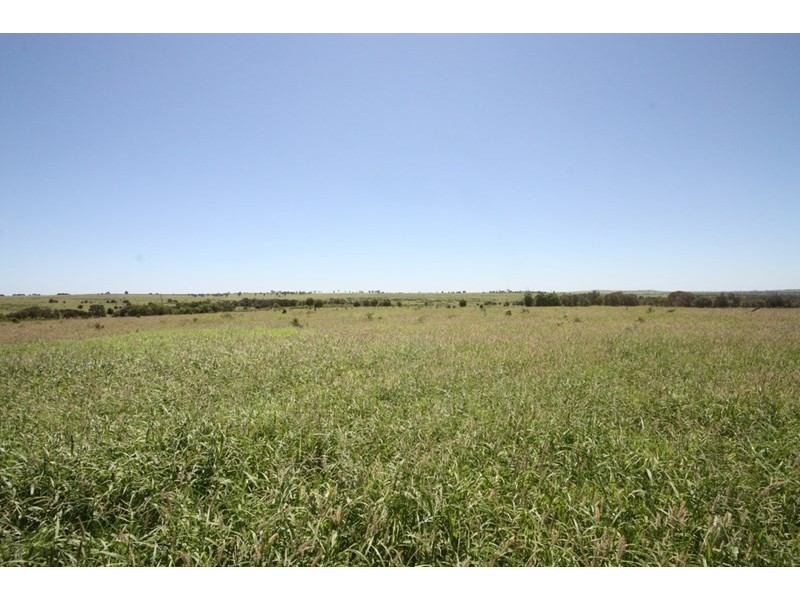 11657 Fitzroy Development Road, Bauhinia QLD 4718