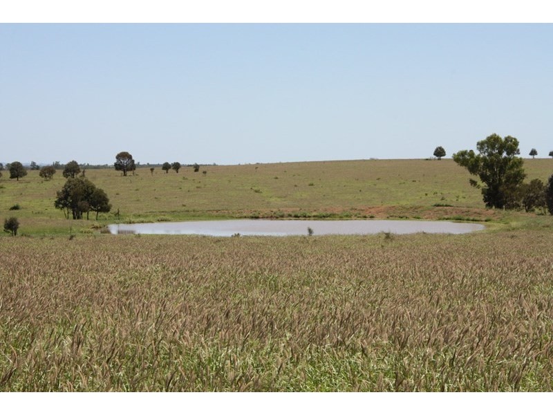 11657 Fitzroy Development Road, Bauhinia QLD 4718