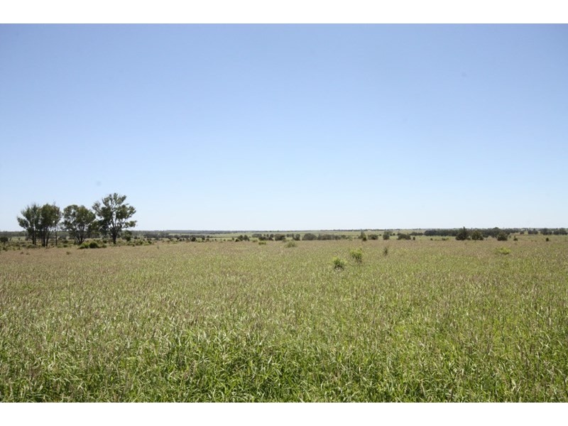 11657 Fitzroy Development Road, Bauhinia QLD 4718