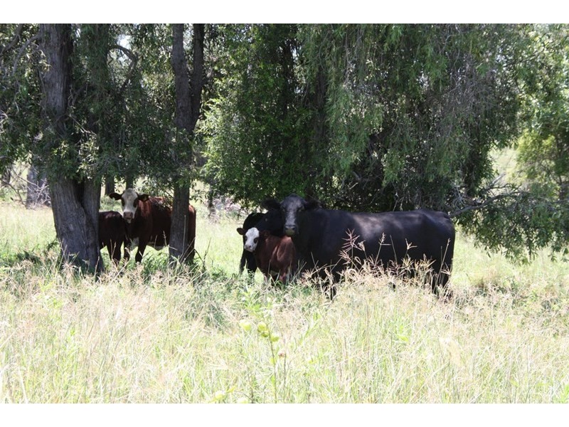 436 Lochaber Access Road, Eidsvold QLD 4627