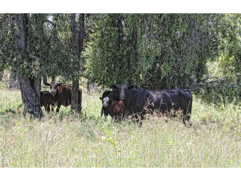 436 Lochaber Access Road, Eidsvold QLD 4627