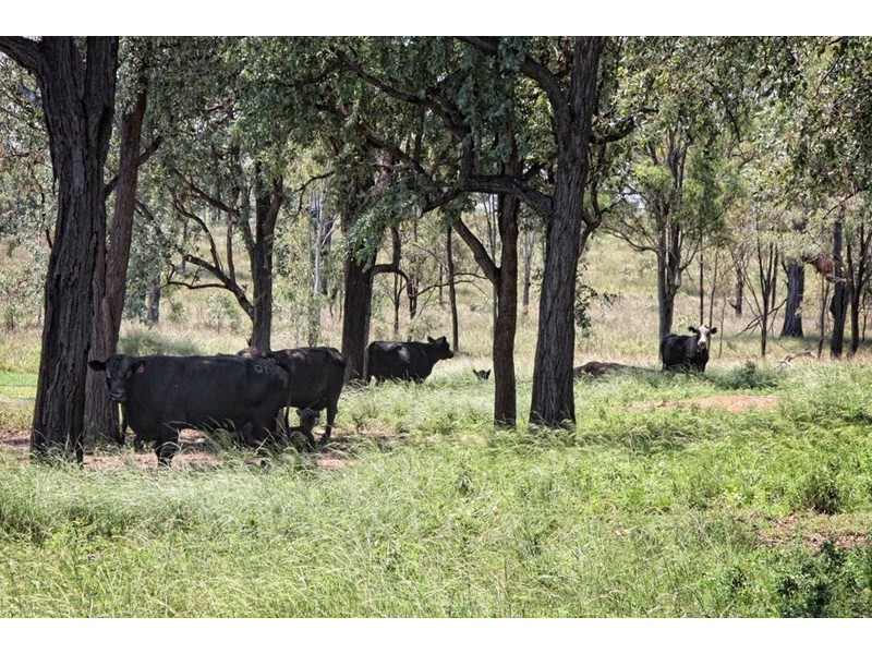 436 Lochaber Access Road, Eidsvold QLD 4627