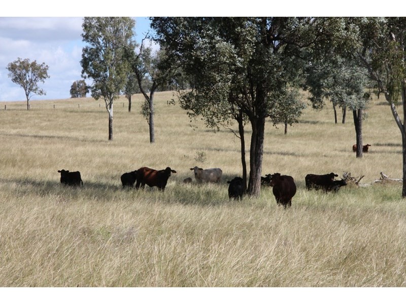 183 Bukali Scrub Road, Bukali QLD 4630