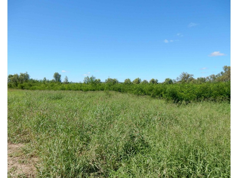 39161 Burnett Highway, Thangool QLD 4716