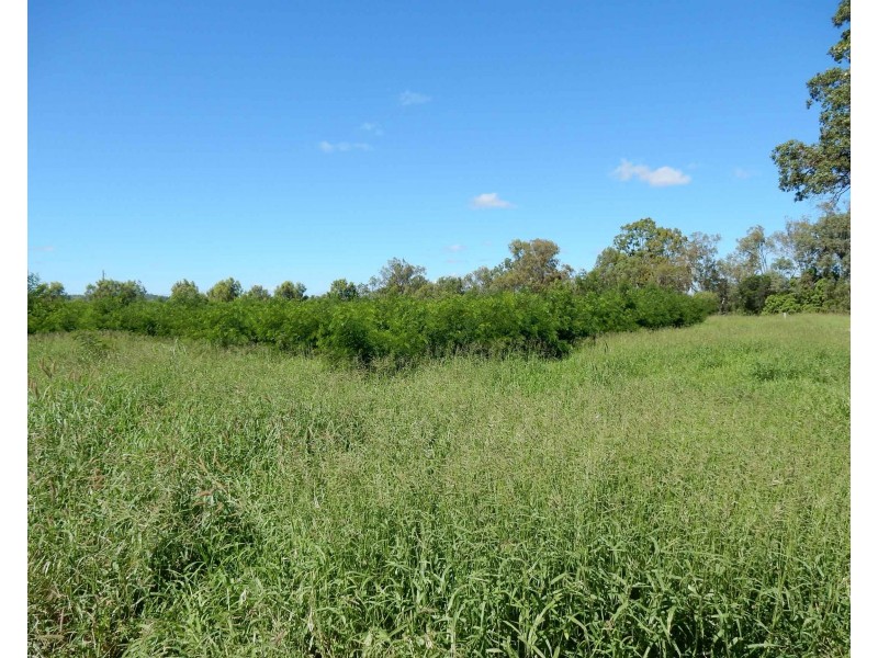 39161 Burnett Highway, Thangool QLD 4716