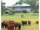 1494 East End Road, Mount Larcom QLD 4695