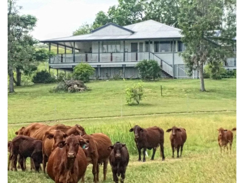 1494 East End Road, Mount Larcom QLD 4695