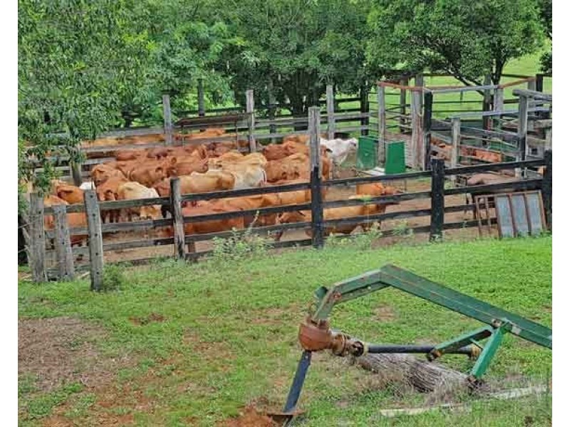 1494 East End Road, Mount Larcom QLD 4695