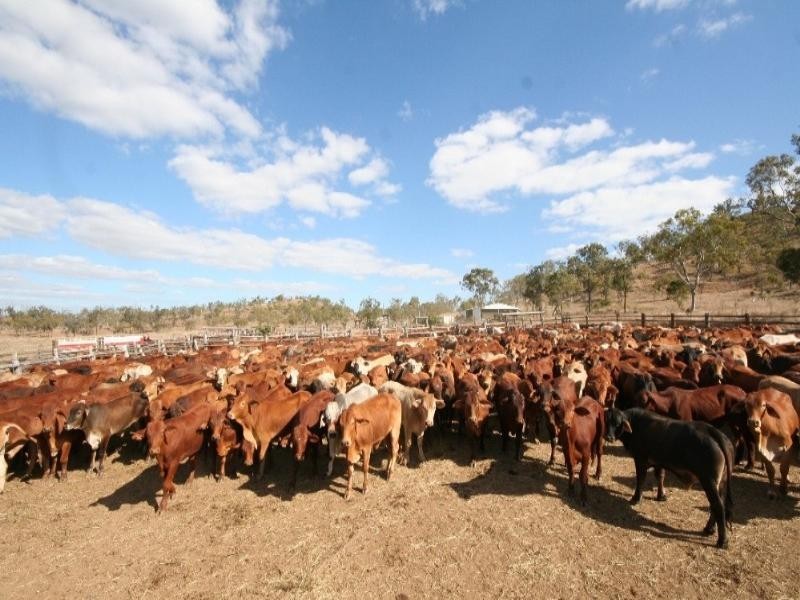 . Luxor Road, Dysart QLD 4745