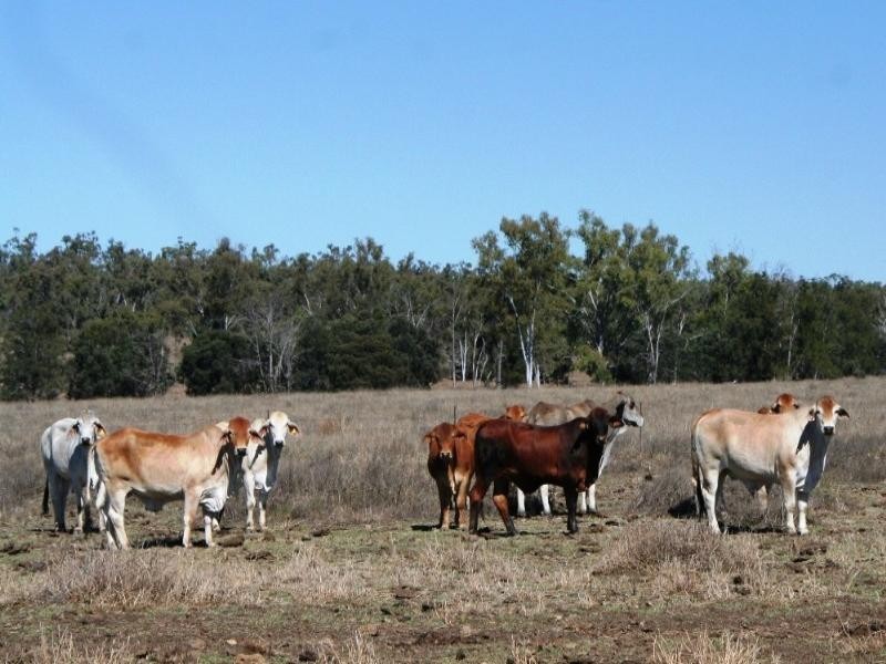 . Luxor Road, Dysart QLD 4745