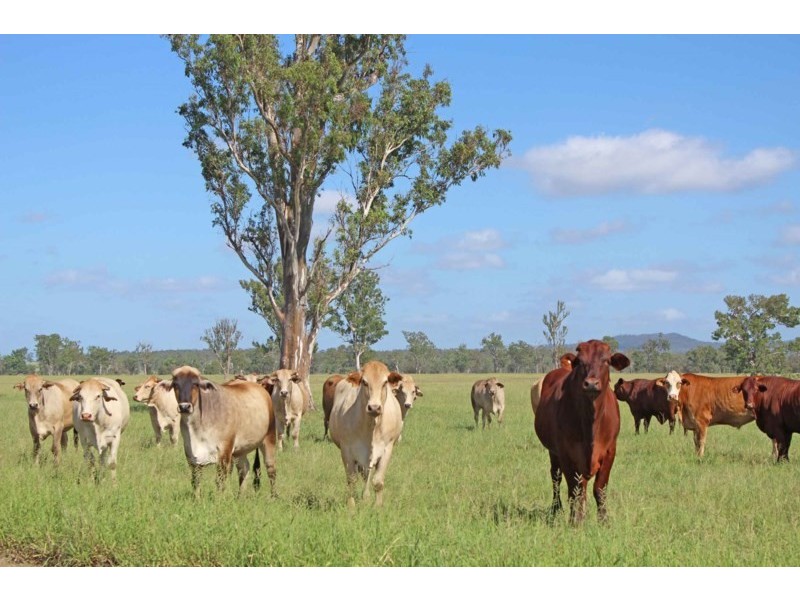 980 Monto-Mount Perry Road, Yarrol QLD 4630