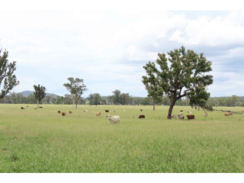 980 Monto-Mount Perry Road, Yarrol QLD 4630