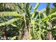 68 Muirs Road, Biloela QLD 4715