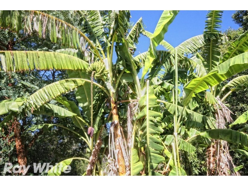 68 Muirs Road, Biloela QLD 4715