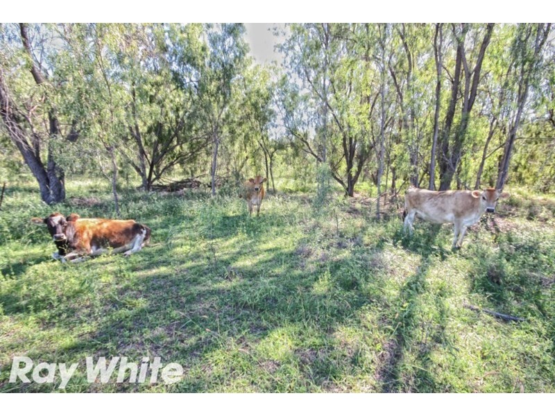 68 Muirs Road, Biloela QLD 4715