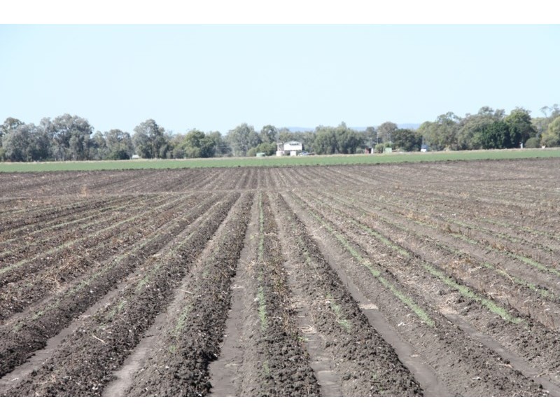 0 Freemans Road, Theodore QLD 4719