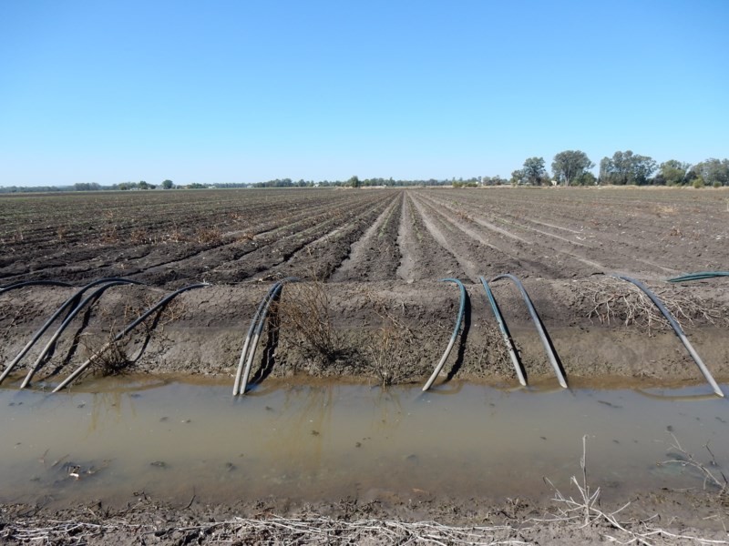 0 Freemans Road, Theodore QLD 4719