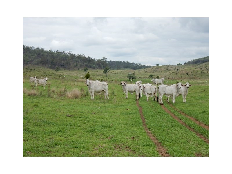 712 Gorge Road, Yarrol QLD 4630