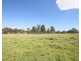 1172 Clonmel Road, Moonford QLD 4630