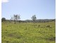 1172 Clonmel Road, Moonford QLD 4630