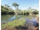 1172 Clonmel Road, Moonford QLD 4630