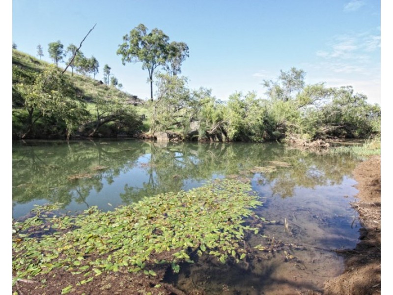 1172 Clonmel Road, Moonford QLD 4630