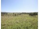1172 Clonmel Road, Moonford QLD 4630