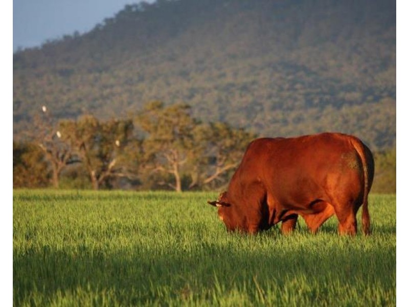 36214 Burnett Highway, Lawgi Dawes QLD 4716