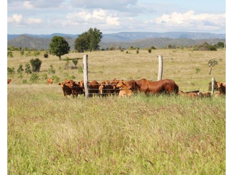 36214 Burnett Highway, Lawgi Dawes QLD 4716