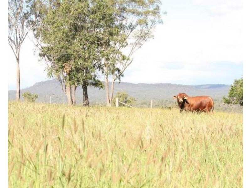 36214 Burnett Highway, Lawgi Dawes QLD 4716