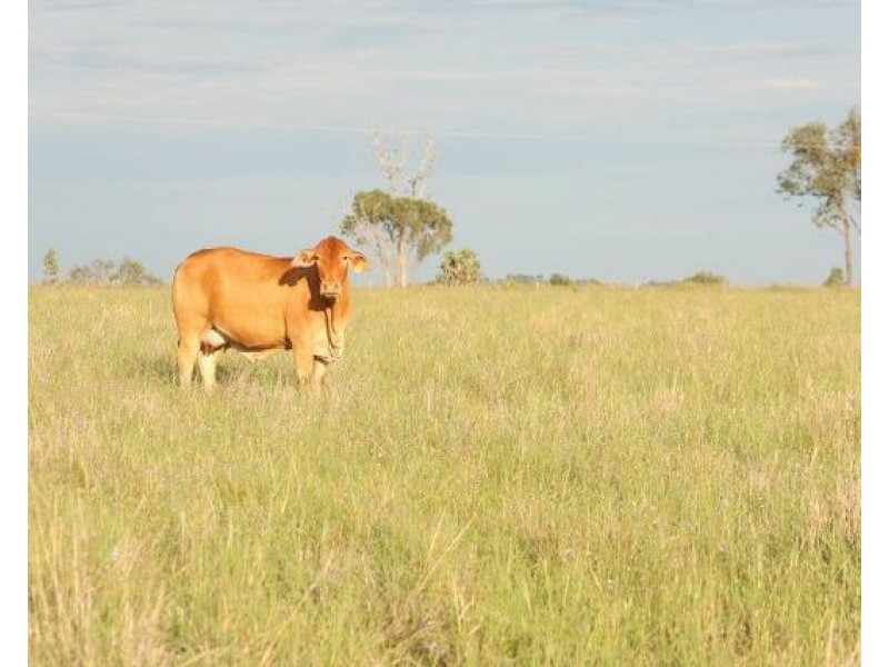 36214 Burnett Highway, Lawgi Dawes QLD 4716