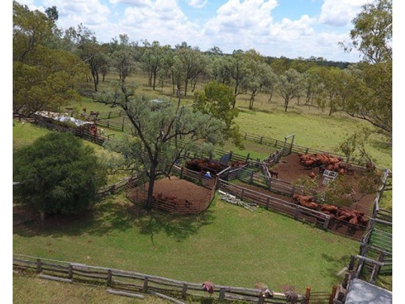 131 Harsants Road, Lawgi Dawes QLD 4716