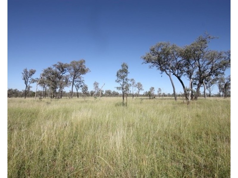 131 Harsants Road, Lawgi Dawes QLD 4716