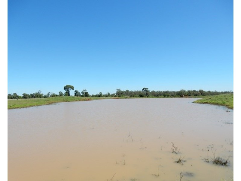 131 Harsants Road, Lawgi Dawes QLD 4716