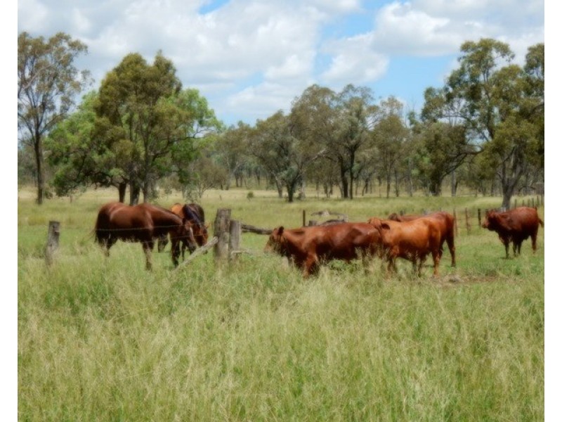 131 Harsants Road, Lawgi Dawes QLD 4716